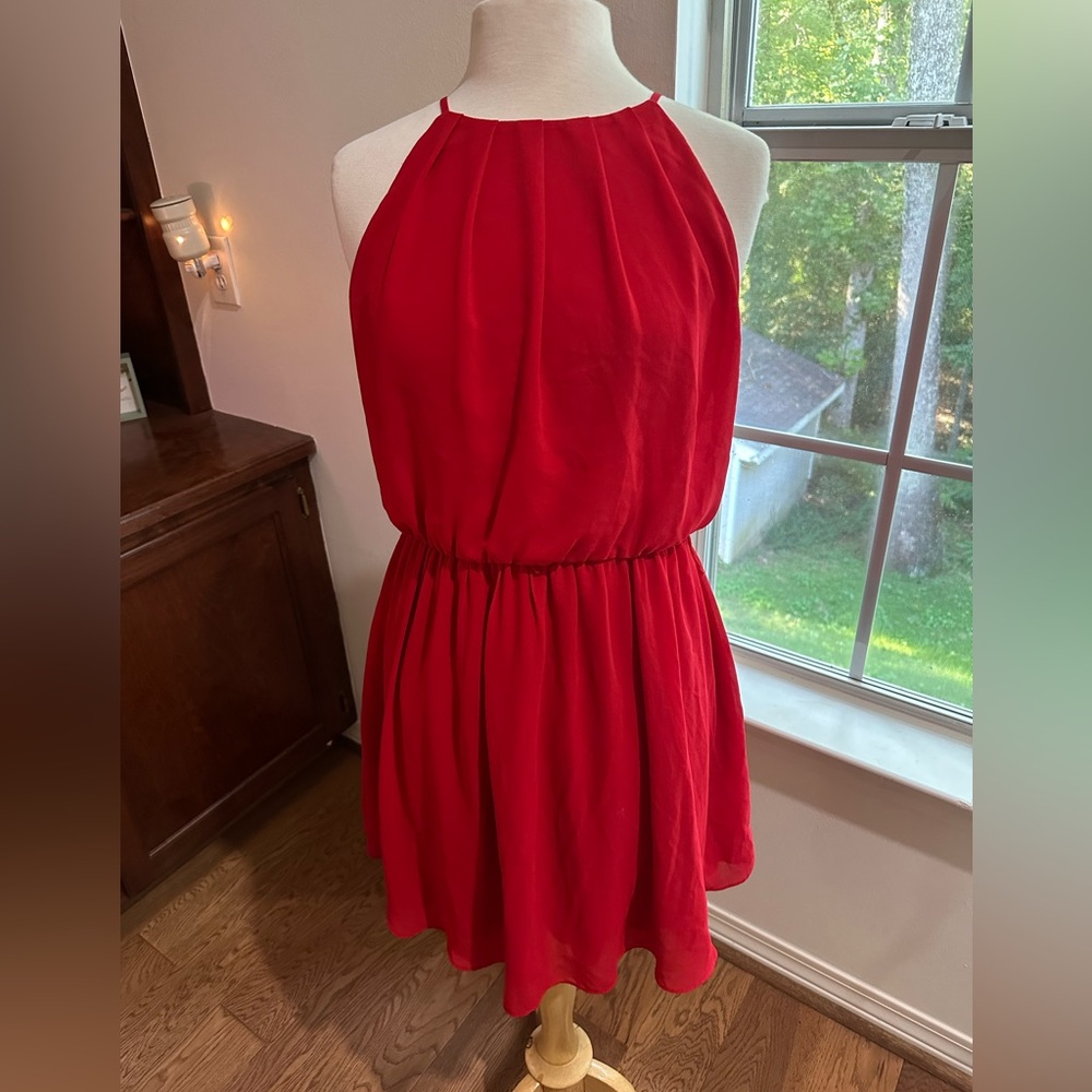 Red Sleeveless Dress with Cinched Waist